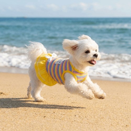 Pet dog summer thin dress - dog,