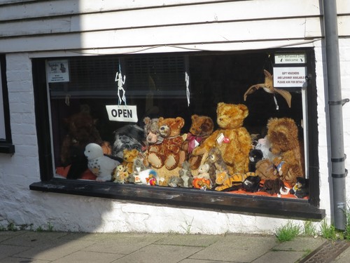 Photo 6x4 teddy - teddy, market
