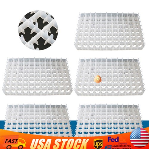 Egg hatching incubator trays - 5*egg,