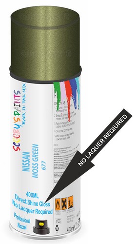 Paint for nissan - paint,
