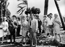 It's A Mad Mad Mad World