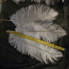 Cream Natural Genuine Ostrich Feather Fluffy Costume Craft Party Decor