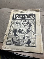 Vintage The Pigeon News