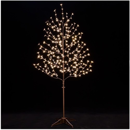 Indoor outdoor cherry - outdoor,