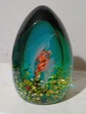 Catheness Dolphin Liason