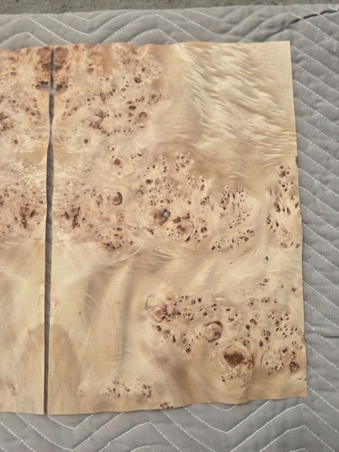 Natural poplar burl wood - poplar,