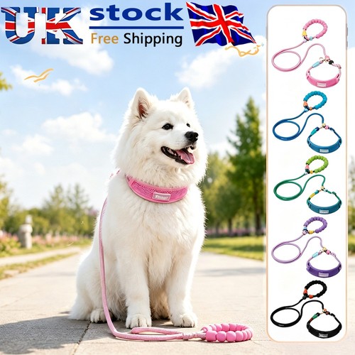 Slip lead dog leash all - lead, in