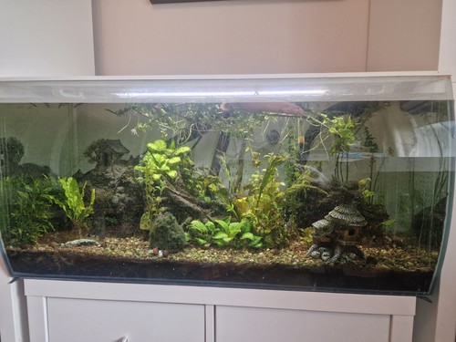 Fluval flex 123l white - flex,