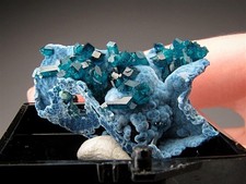 Thumbnail, Shattuckite and