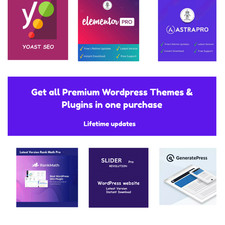 WordPress Themes & Plugins
