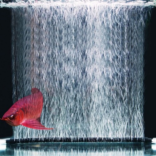 Aquarium air - (120cm, double
