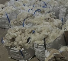 Sheeps Wool Insulation