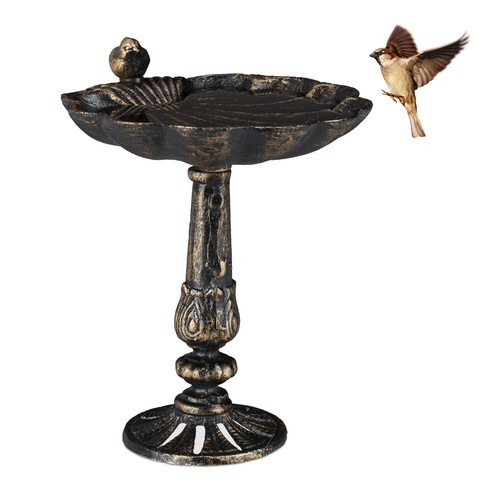 Bird bath outdoor water - bird,