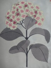 SANDERSON  CURTAIN FABRIC