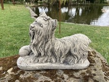 🇬🇧STONE GARDEN YORKIE
