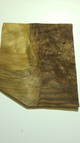 Walnut burr veneer 17 sheets - veneer,
