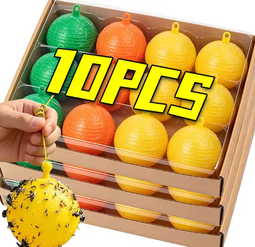 Fruit fly balls - fly,