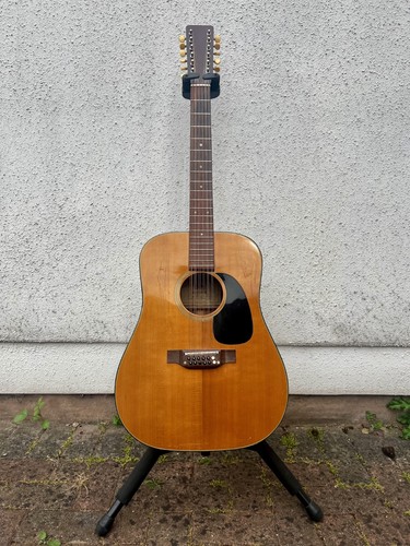 String acoustic guitar - 12,