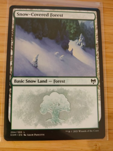 Mtg snow covered - mtg, 284