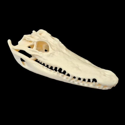 Replica resin small crocodile - small,