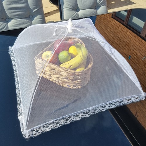 Large white food cover - food,