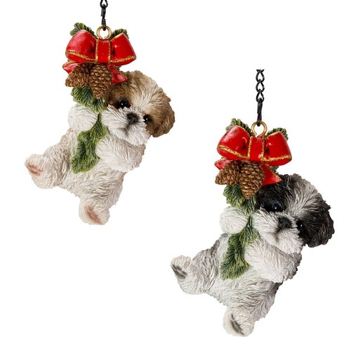 Shih tzu puppy - tzu, dog