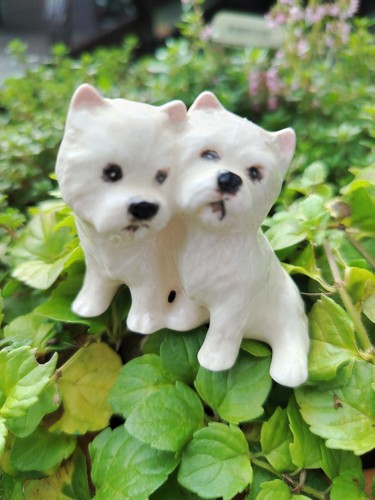 Vintage beswick gloss west - beswick,