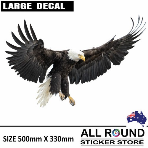 Large 500mm flying eagle - 500mm,