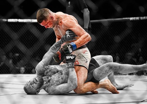 Nate diaz conor - nate, ufc