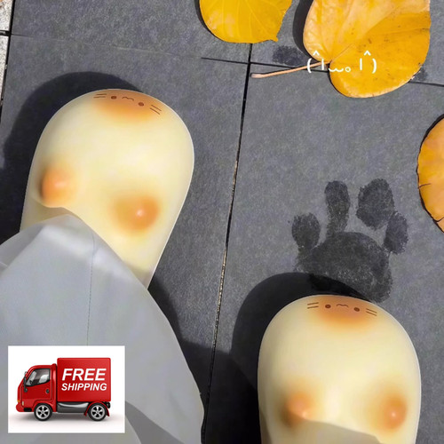 Cute cat paw slippers - paw,