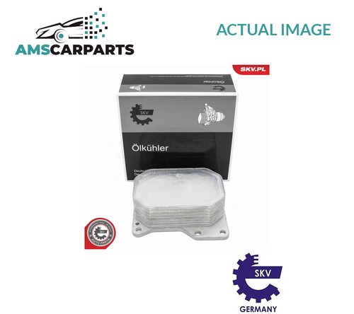 Engine oil cooler - oil, skv