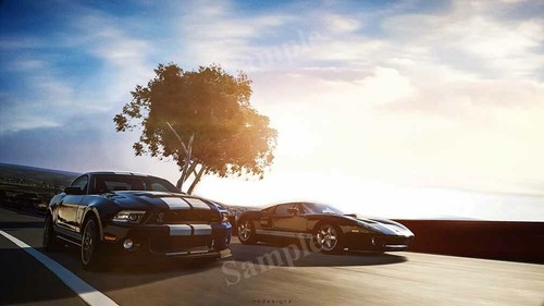 Ford mustang shelby gt500 - shelby,