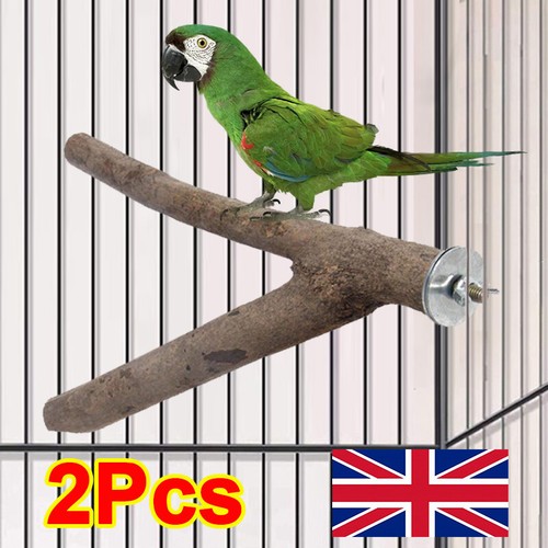15cm wooden parrot - 15cm,