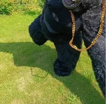 Giant inflatable gorilla - inflatable,