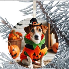 Jack russell dog hanging - russell,