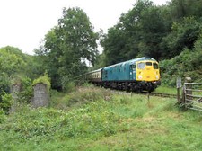 Photo 12x8 Dean Forest Railway at Upper Forge Class 26 locomotive No. D534 c2016