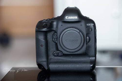 Canon eos 1mp digital - eos, x