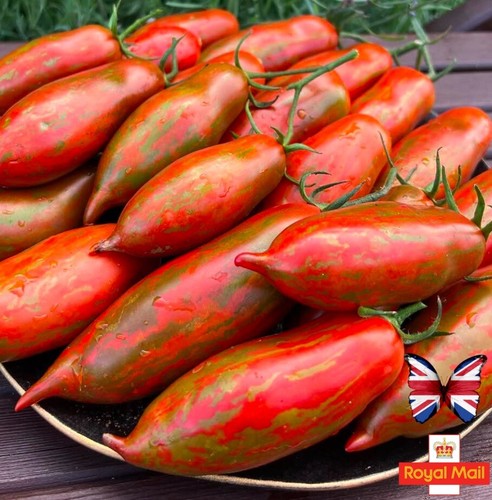 Tomato seeds boxer - tomato, “boxer