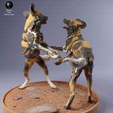 African Wild Dogs Play - 3D
