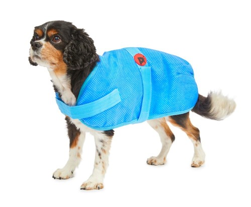 Petface cooling cool summer - petface,