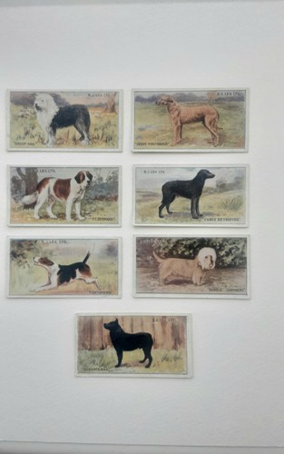 Lea 1923 chairman dogs - 1923,