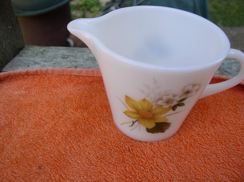 Vintage pyrex autumn glory - "autumn, glory"