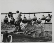 Worker hanging out freshly