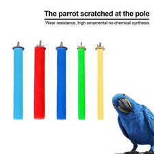Pet Bird Parrot Paw Grinding
