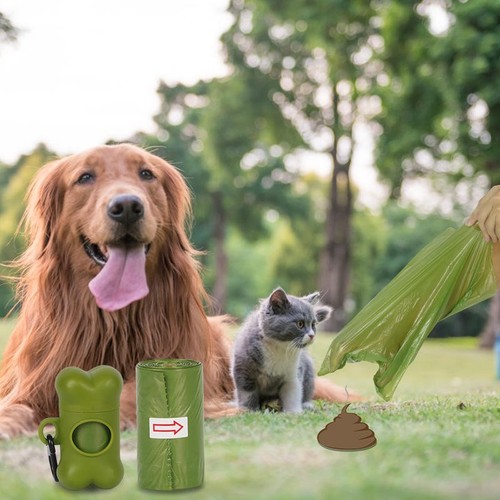 600 dog poop - 600, poo