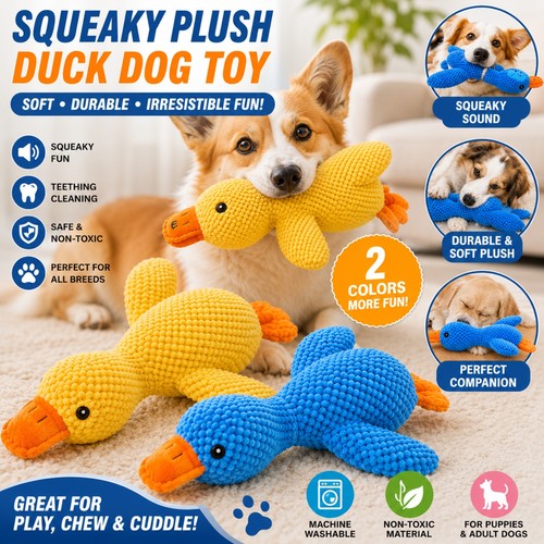 Pet dog chew - dog, calming