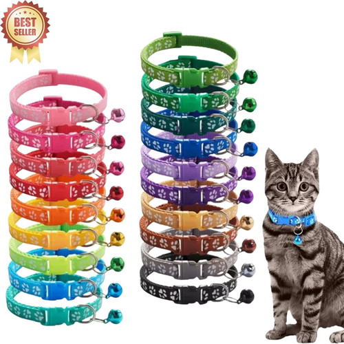 Adjustable buckle cat collar - buckle,
