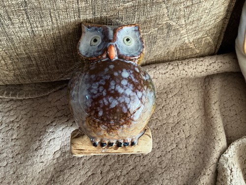 Vintage speckled owl money box - speckled,