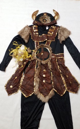Viking warrior nordic - viking,