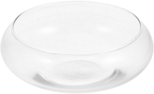 Clear glass terrarium bowl - glass,